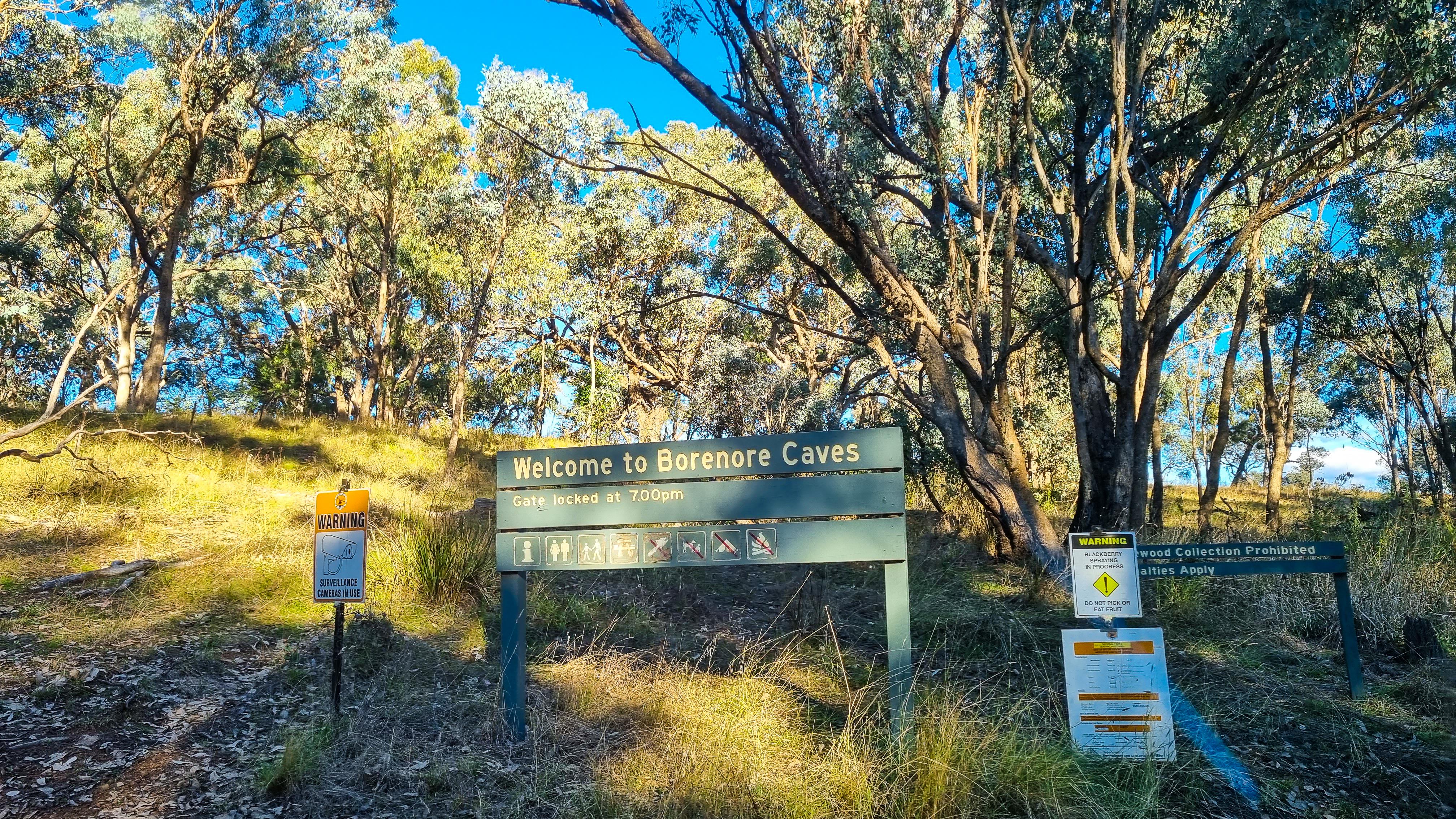 Borenore Caves, Orange, NSW